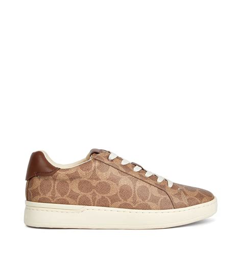 tenis coach cafes mujer
